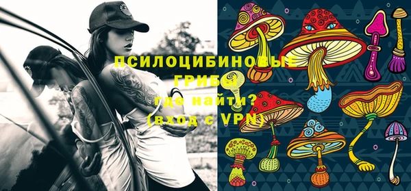 не бодяженный Абаза