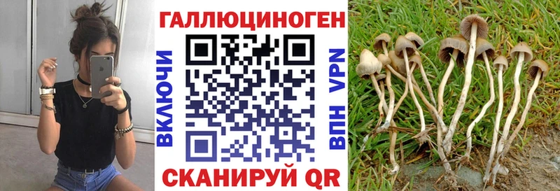 цены наркотик Злынка блэк спрут онион Псилоцибиновые грибы прущие грибы